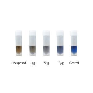 ProExpose Protein Detection Results