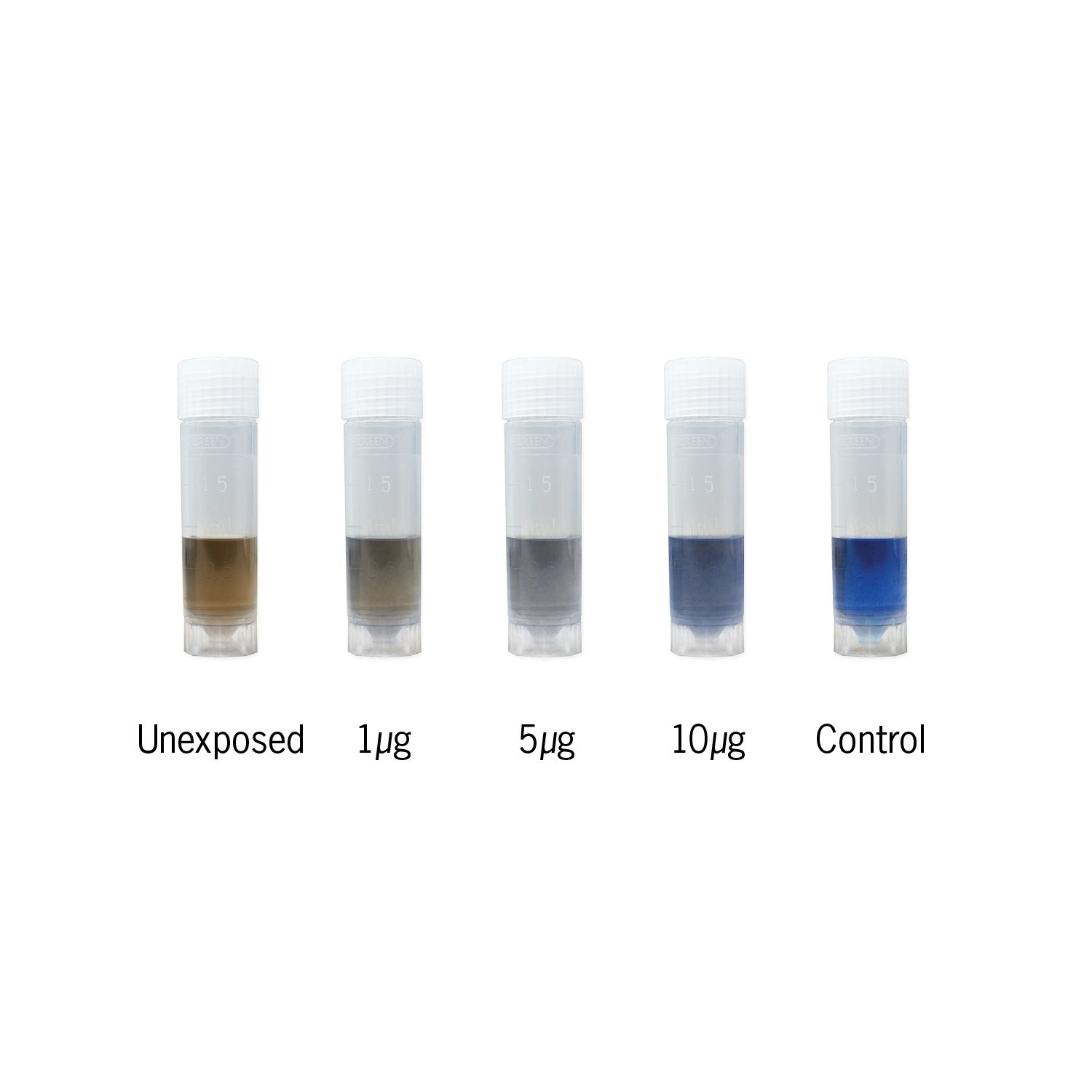 ProExpose™ Protein Detection Test